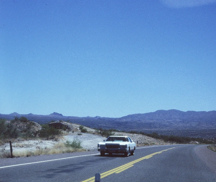 Lost in Paradise 1978
