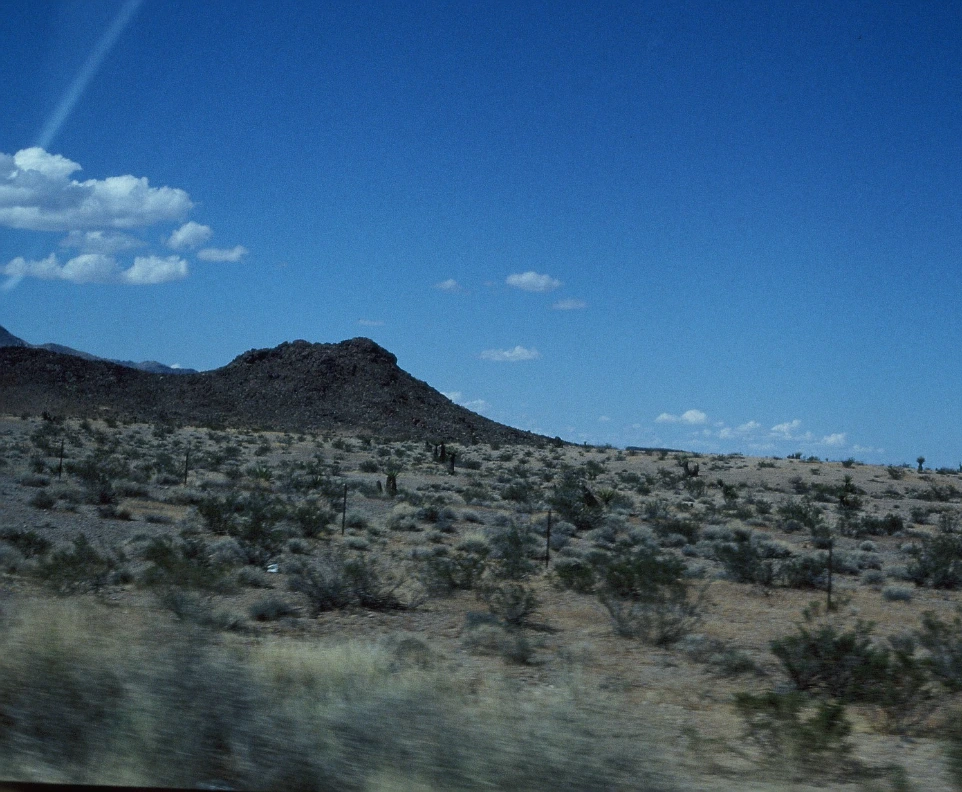 Lost in Paradise 1978