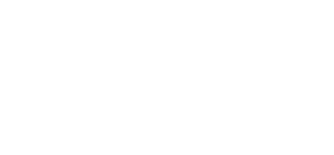 Steev Crispin